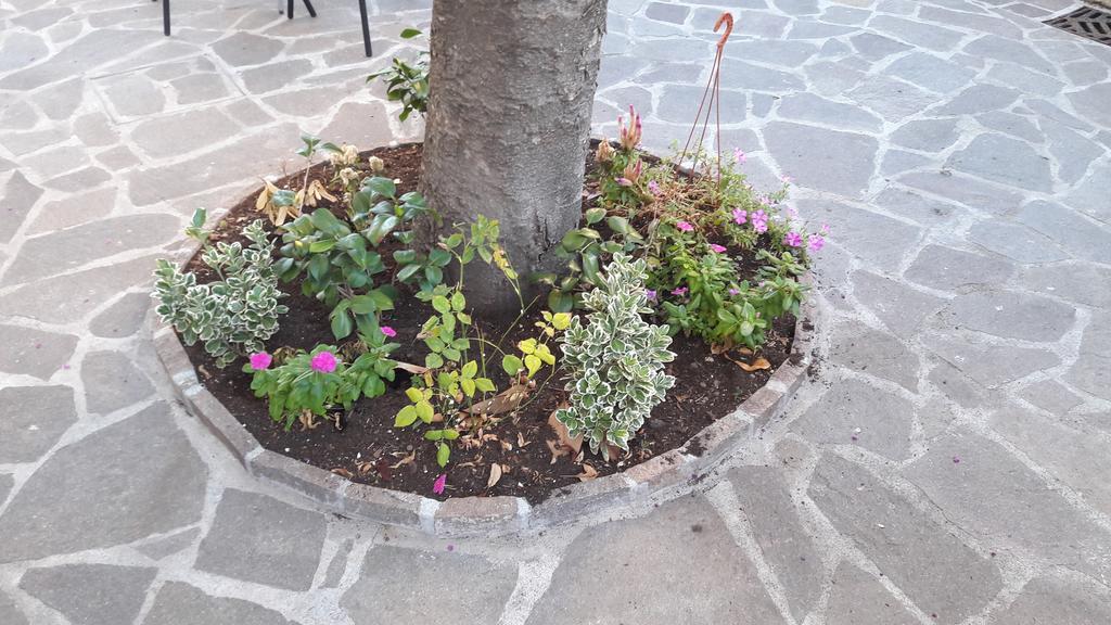 Florence Stadium B&B Екстер'єр фото